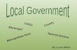 4 local government in texas