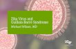 Zika Virus and Guillain-Barré Syndrome