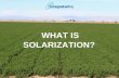 What is Solarization