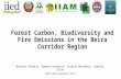 Forest carbon, biodiversity and fire emissions in the Beira Corridor Region