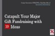 Catapult Your Major Gift Fundraising with Ten Ideas