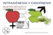 Intragénesis y cisgénesis