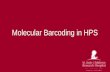 Molecular barcoding in hps