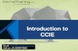 CCIE Online Training | PPTs Basics | Fundamentals | Overview