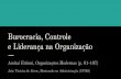 Burocracia, Controle e Liderança na Organização - Amitai Etzioni