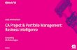 CA Project & Portfolio Management: Business Intelligence