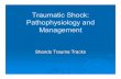 Traumatic Shock: Pathophysiology and Management (PDF)