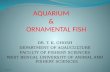 Aquarium and ornamental fish ppt