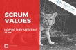 How do the Scrum Values really affect my team?