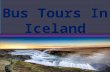 Bus tours in iceland