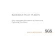 bankable pilot plants - sgs