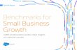 Special Report: Benchmarks for Small Business Growth