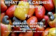 Whats's in a Cashew? Processing of Different Cashew By-Products / Librada Fuertes, DA-PAES