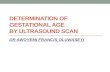 Determination of gestational age  revised   copy