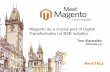 Magento as a crucial part of Digital Transformation in B2B Industry.