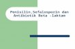 Penislin,sefalosporin dan antibiotik beta  laktam