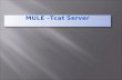 Mule  Tcat server
