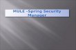 Mule  security - spring security manager