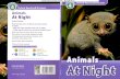 Oxford Read and discover Level 4: Animals at night
