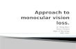 Approach to monocular blindness