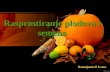 Rasprostiranje plodova i semena