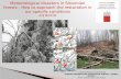 Marenče - Meteorološke katastrofe u slovenačkim šumama - Kako pristupiti obnovi u našim specifičnim uslovima