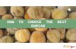 How to choose the best durian