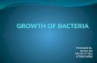 Growth of bacteria