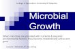 Chapter 3 Microbial growth