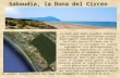 Gruppo di Ecologia: Dune di Sabaudia