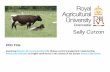 Examining disease risk communications for disease control management: implementing biosecurity measures on English cattle farms in the context of the disease bovine tuberculosis -