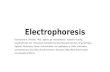 Prabhakar singh  sem-ii 3.1- electrophoresis