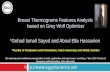Breast Thermograms Features Analysis  based on Grey Wolf Optimizer