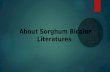 About sorghum bicolor literatures