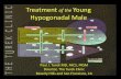 Treatment of the Young Hypogonadal Male - Dr. Paul Turek
