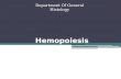Histology  9-  Hemopoiesis
