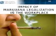 Impact of Marijuana Legalization in the Workplace