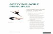 Applying agile principles    a brief paper