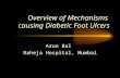 1362576371 mechanism foot injury and ulcer formation