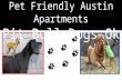 Pet Friendly Austin Apartments | Pit Bull Dogs ok