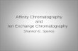 Affinity chromatography 1