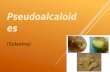 2.2.2 pseudoalcaloides (solanina)
