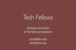 Tech fellows