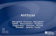 Anthrax PowerPoint