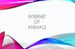 Internet of Things for Animals