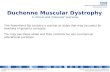 Conditions: Duchenne Muscular Dystrophy XL