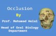 ]Dental Occlusion part 1