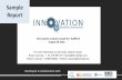 Innovation Readiness Sample Report