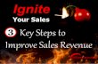 3 Key Steps to Improve Sales Revenue