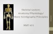 Nmt631 skeletal anat, phys, bone scinti principles
